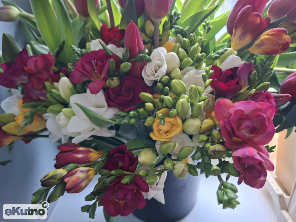 Hortiterapia – zapachy, kolory i relaks