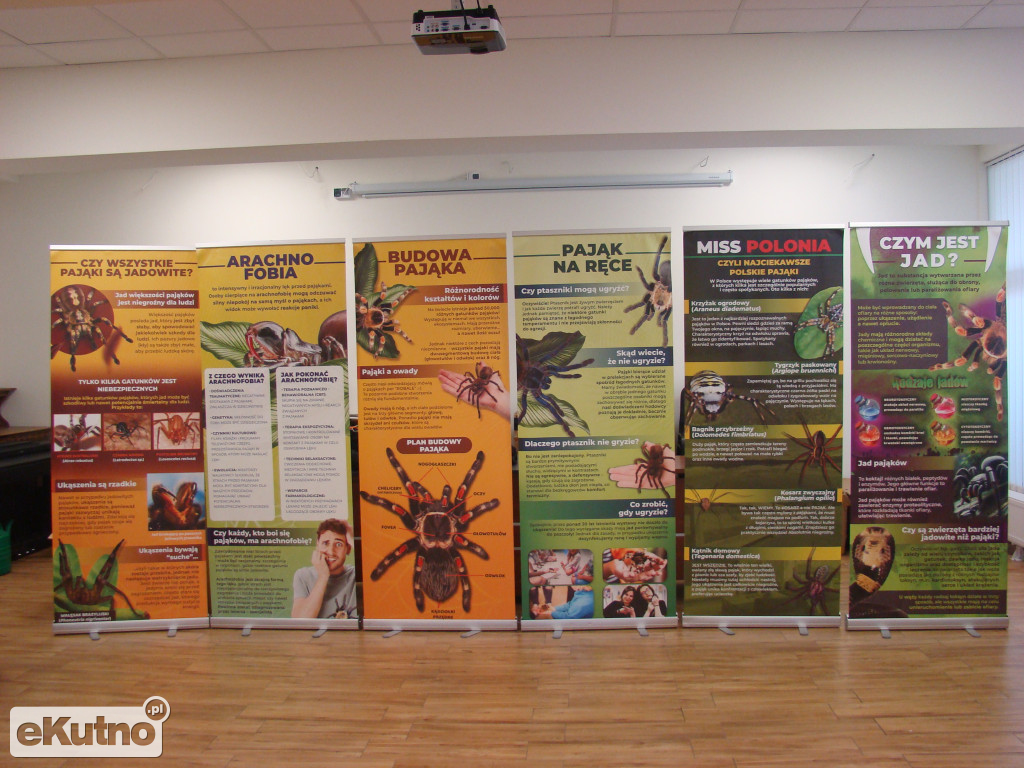 Pająki nie takie straszne jak je malują