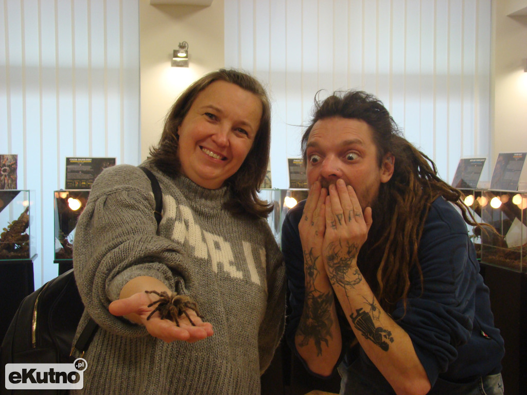 Pająki nie takie straszne jak je malują