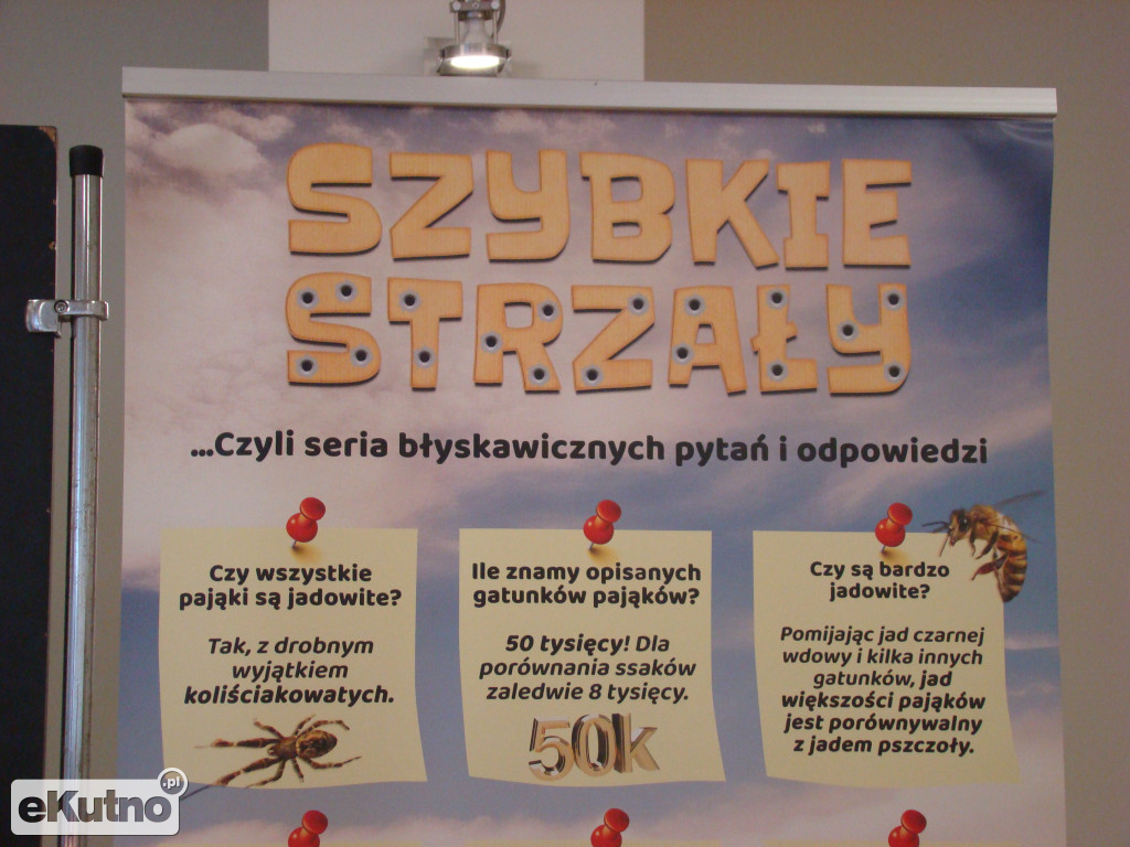 Pająki nie takie straszne jak je malują