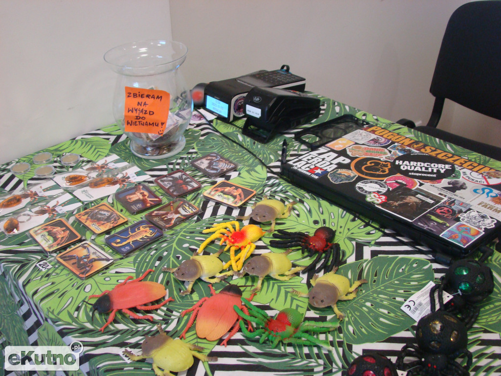 Pająki nie takie straszne jak je malują