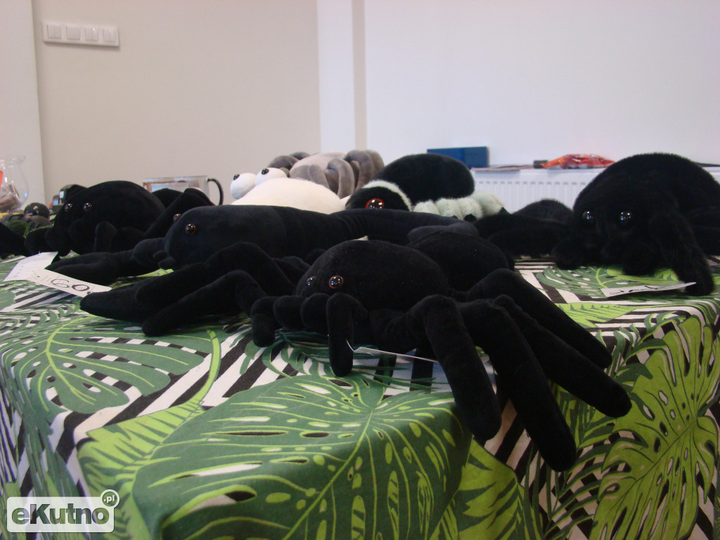 Pająki nie takie straszne jak je malują