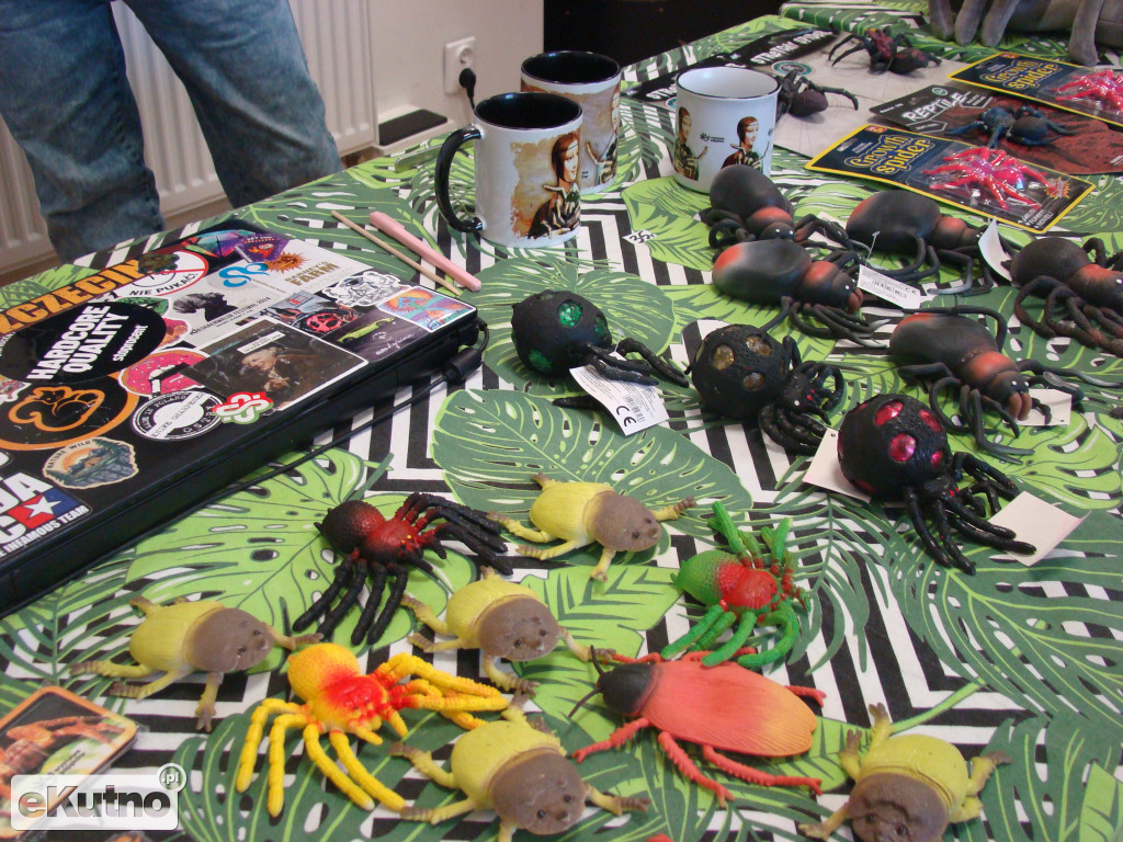 Pająki nie takie straszne jak je malują