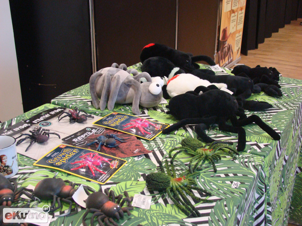 Pająki nie takie straszne jak je malują