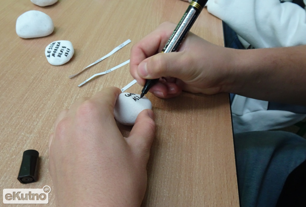 Kamienie wołać będą