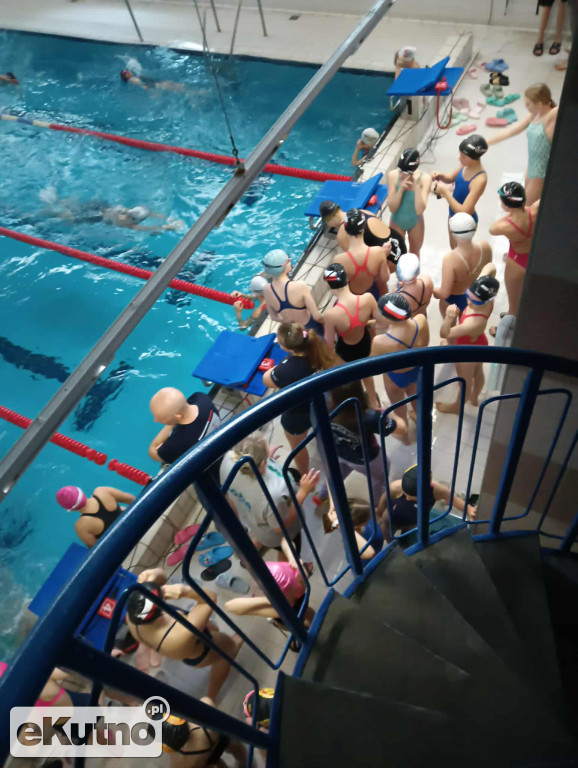 6 medali UKS Delfinek