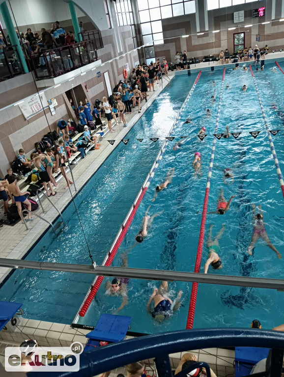 6 medali UKS Delfinek