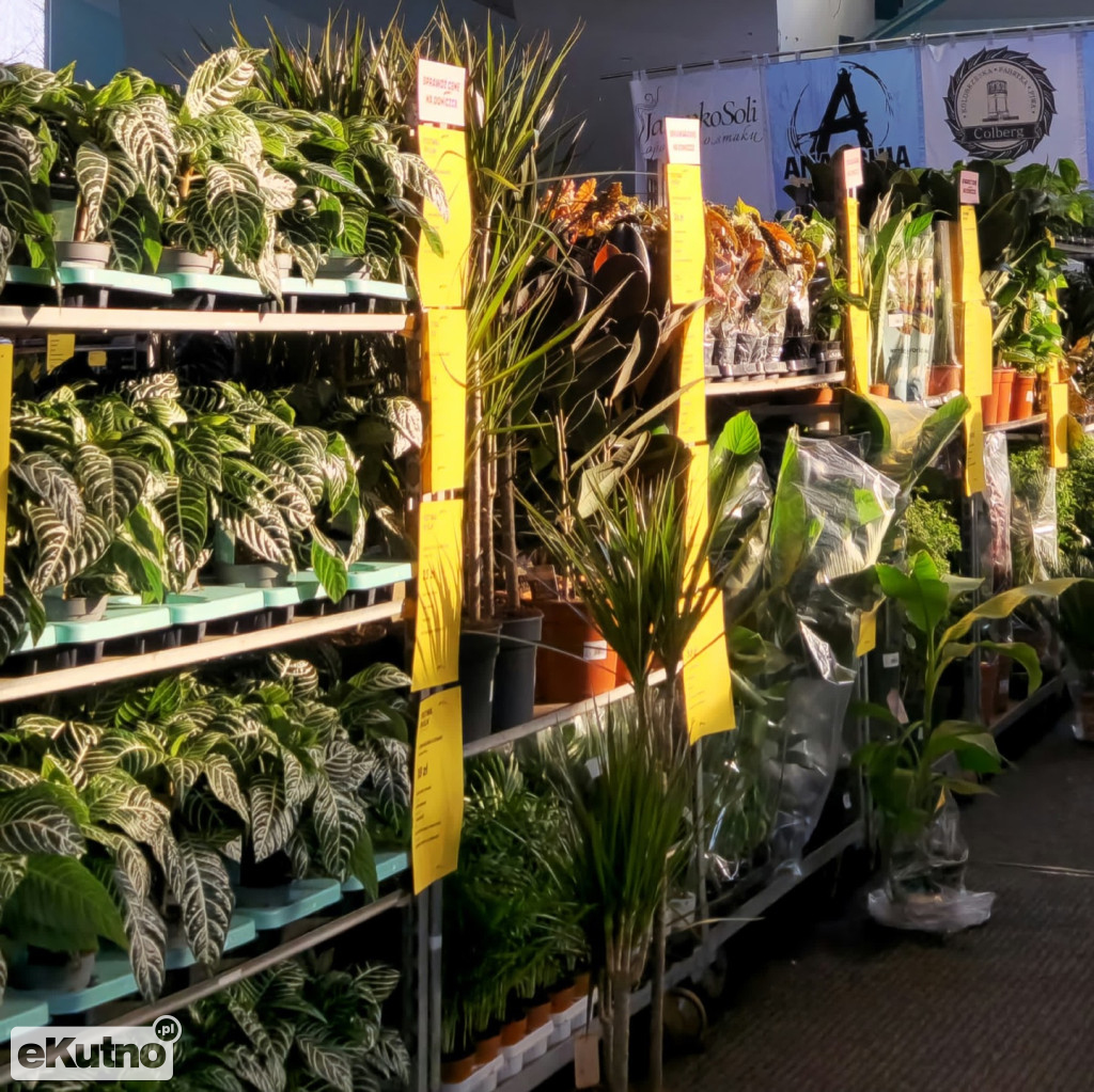 Festiwal Roślin w EC1 Łódź