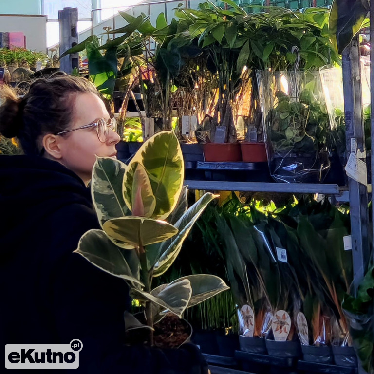 Festiwal Roślin w EC1 Łódź