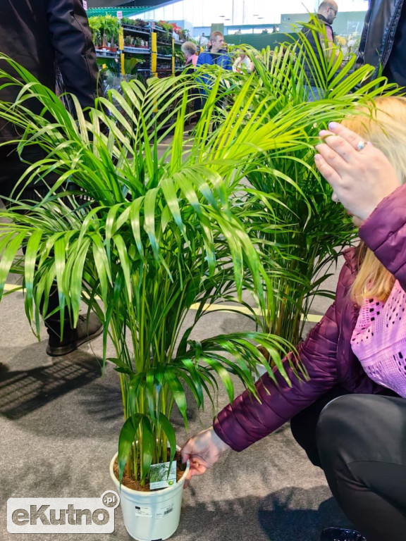 Festiwal Roślin w EC1 Łódź