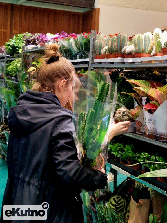 Festiwal Roślin w EC1 Łódź