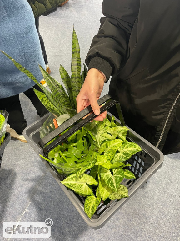 Festiwal Roślin w EC1 Łódź