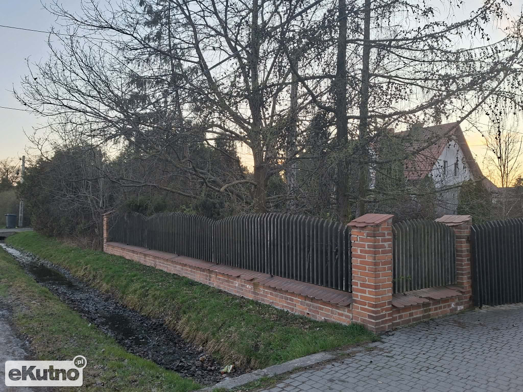 Pomnik Przyrody pod topór!