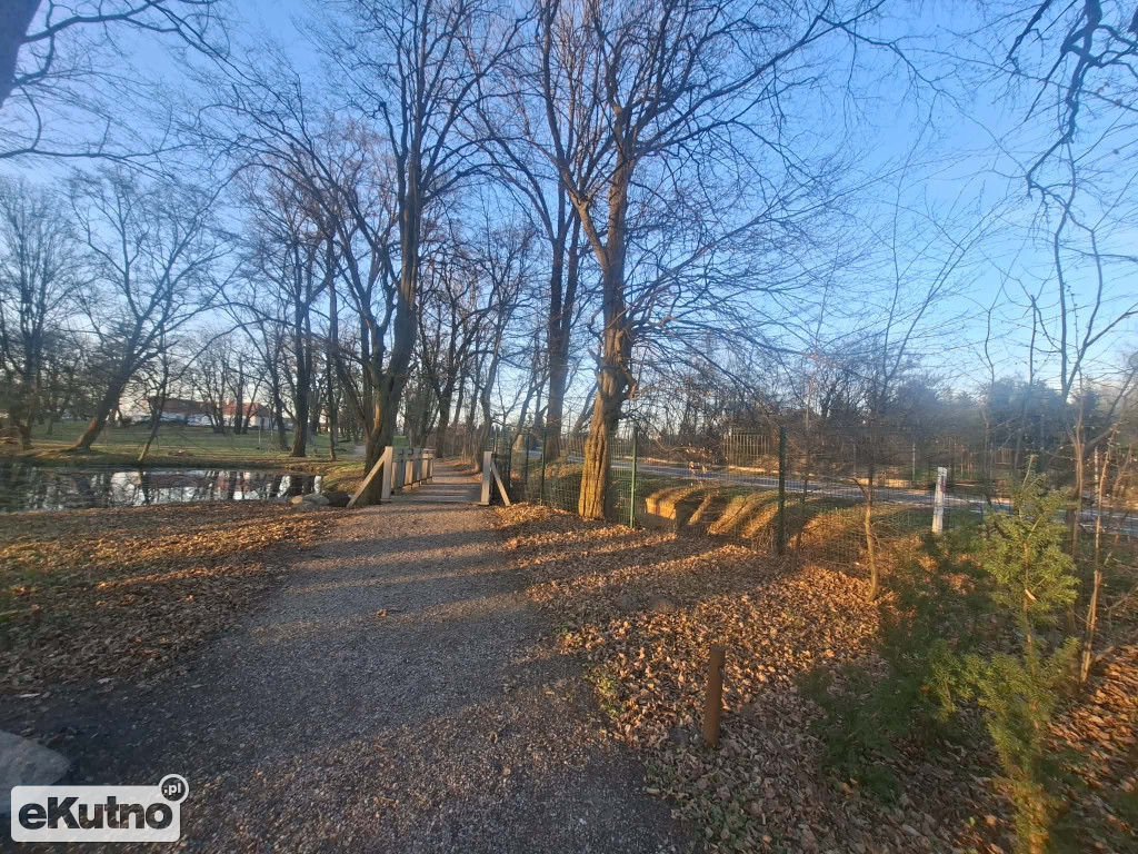 Pomnik Przyrody pod topór!