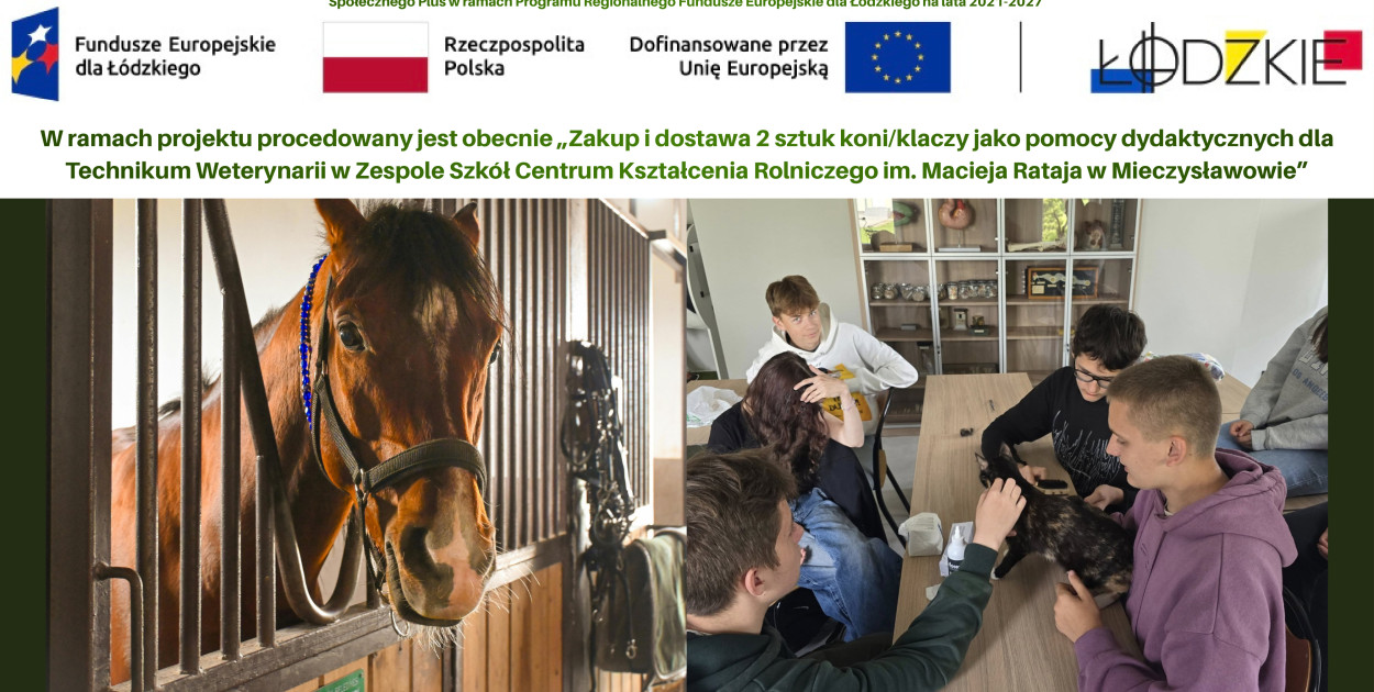 Wielkie zmiany w szkole w Mieczysławowie