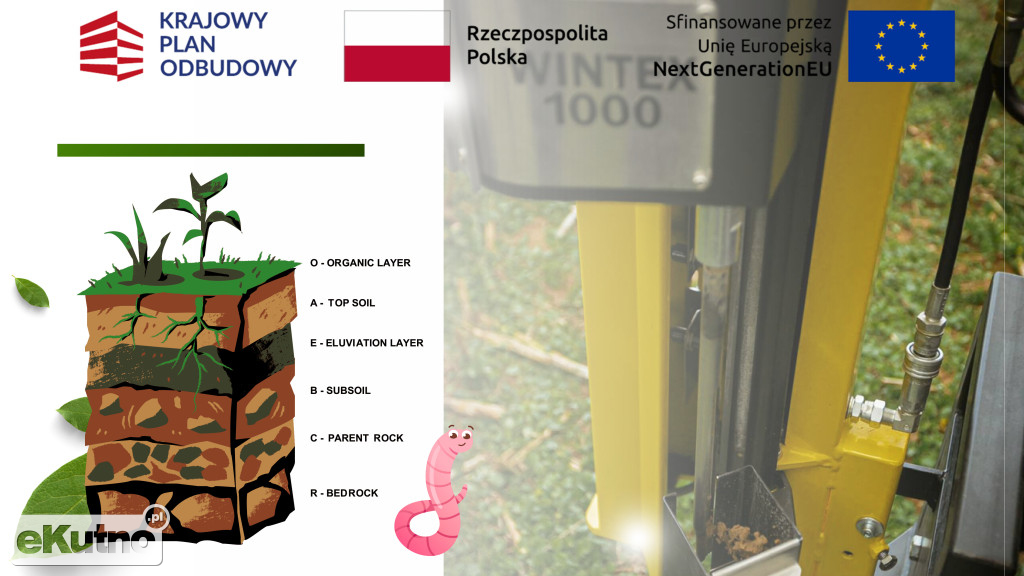 Wielkie zmiany w szkole w Mieczysławowie