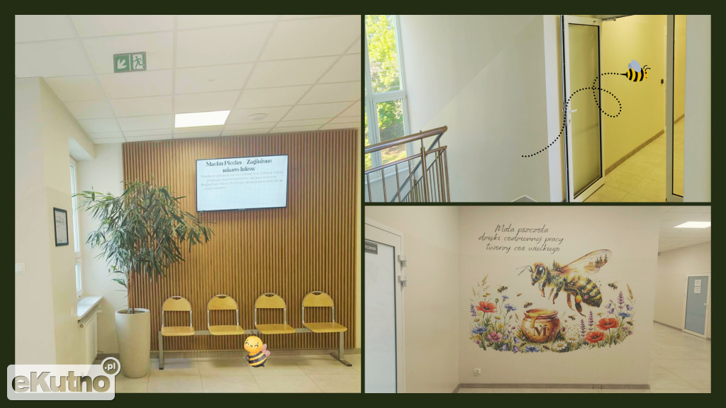 Wielkie zmiany w szkole w Mieczysławowie