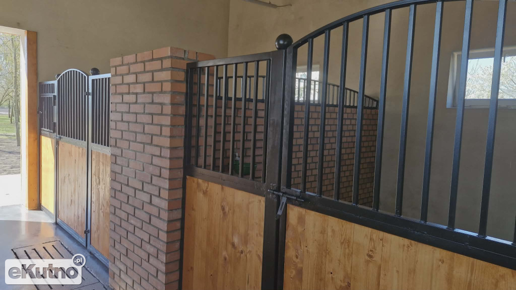 Szkoła rolnicza w Mieczysławowie świętuje