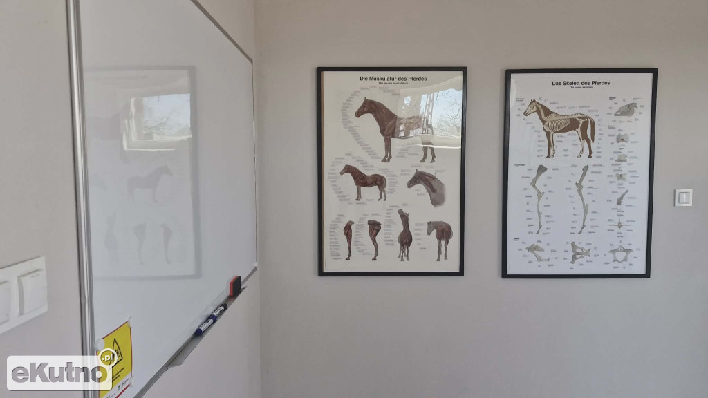 Szkoła rolnicza w Mieczysławowie świętuje