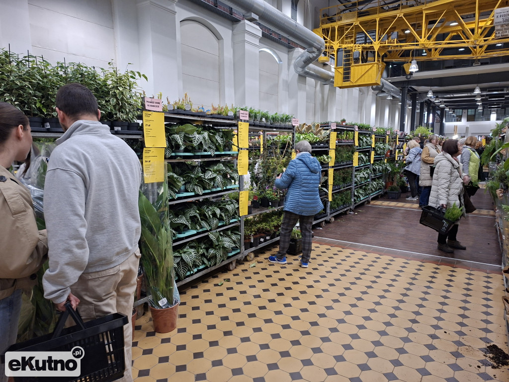 Festiwal Roślin w Łodzi