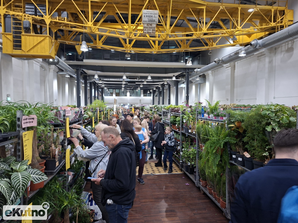 Festiwal Roślin w Łodzi