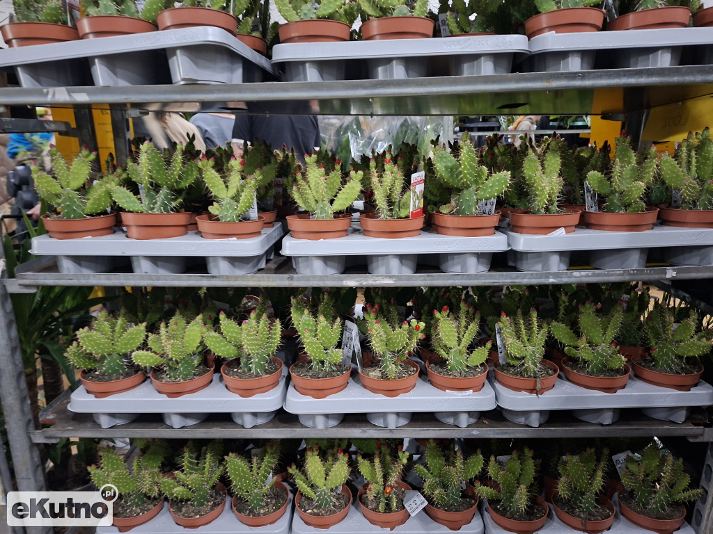 Festiwal Roślin w Łodzi