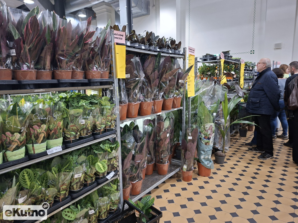 Festiwal Roślin w Łodzi