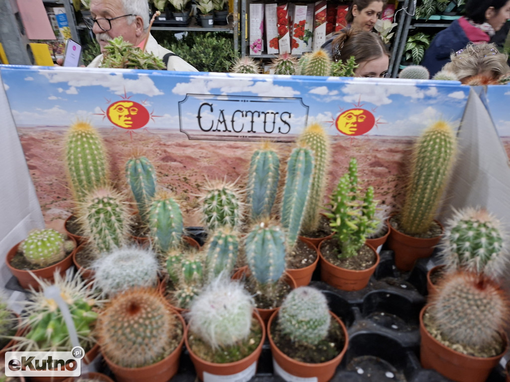 Festiwal Roślin w Łodzi