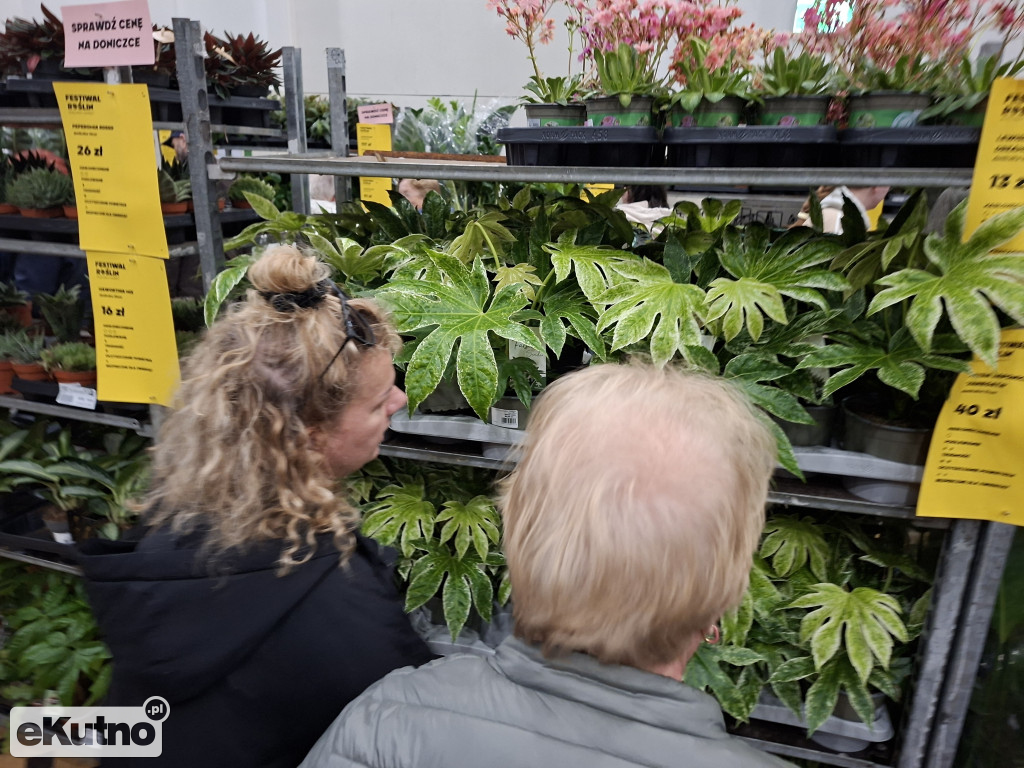 Festiwal Roślin w Łodzi