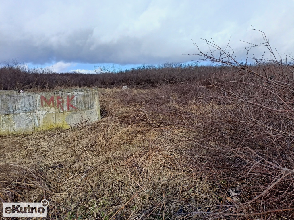 Cmentarz żydowski w Żychlinie