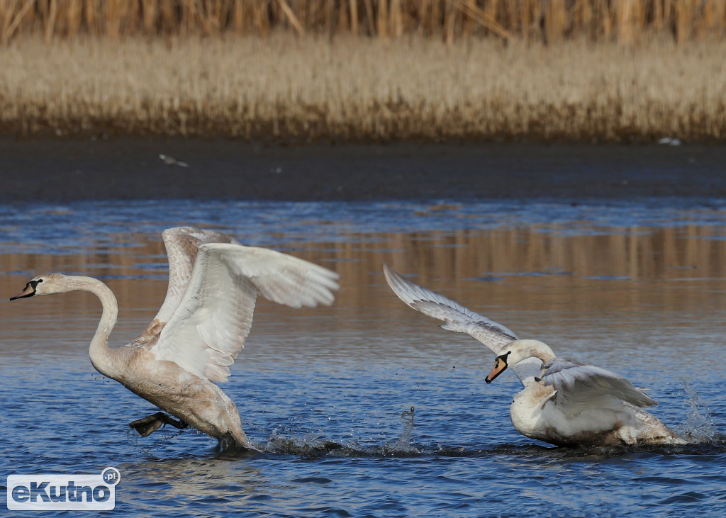 Majówka w Łódzkiem