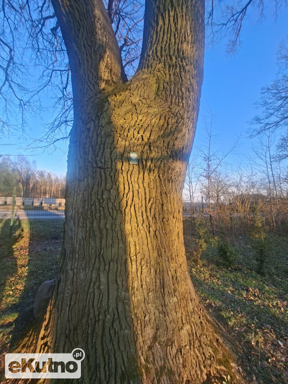 Mieszkańcy przeciw planom GDDKiA