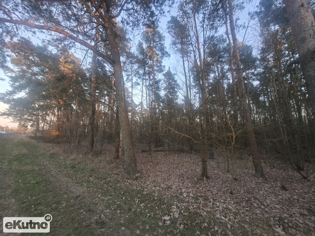 Mieszkańcy przeciw planom GDDKiA