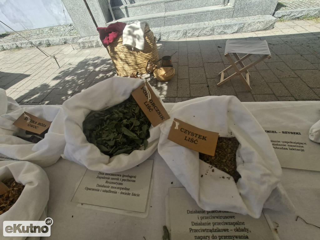 Festiwal Saski: Miasteczko rzemieślnicze