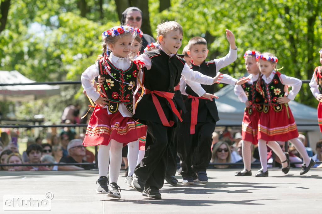 Wiwat Trzeci Maj! Piknik 2026