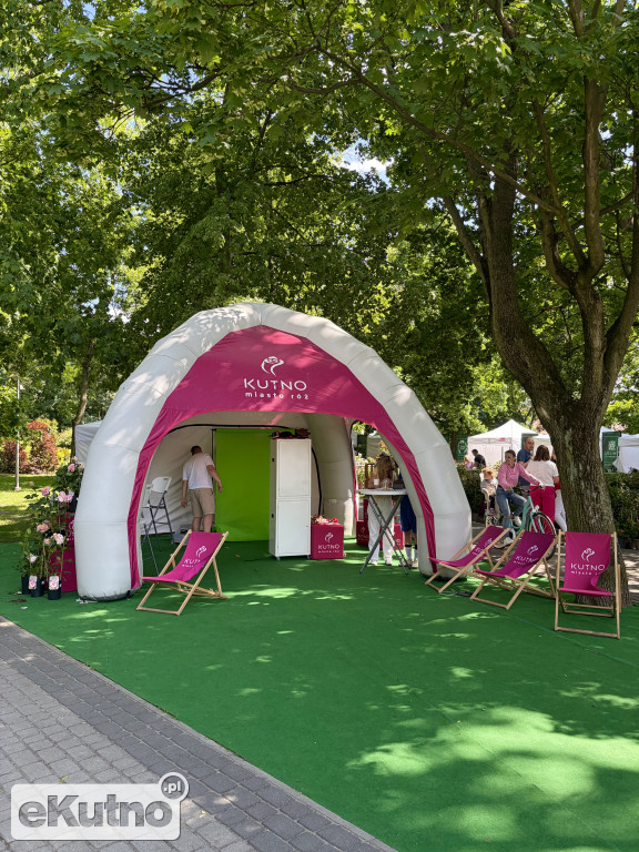 Piknik Różany 2026