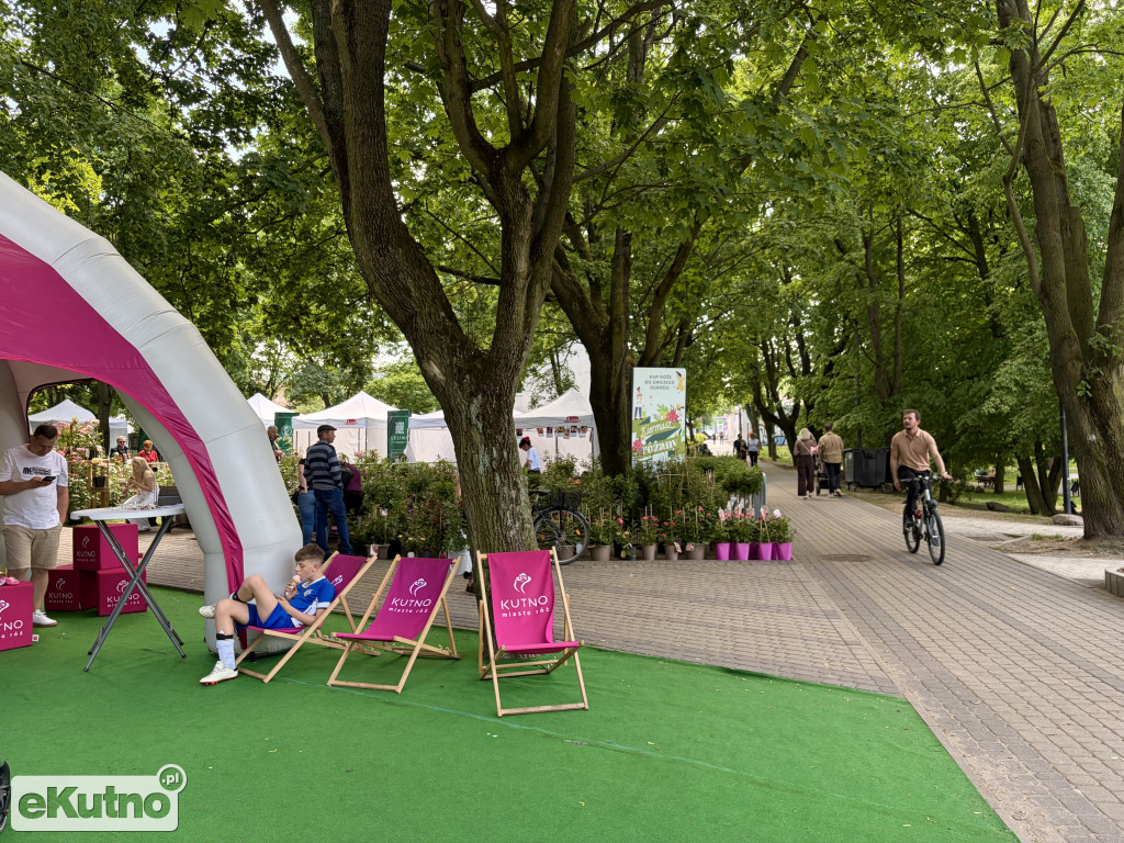 Piknik Różany 2026