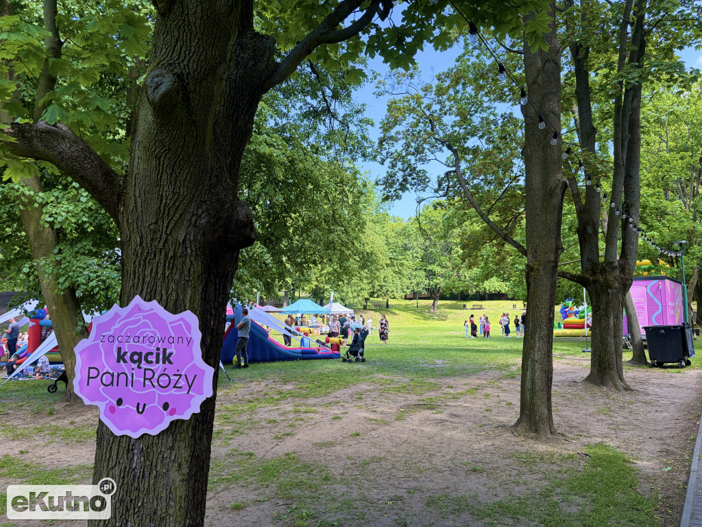 Piknik Różany 2026