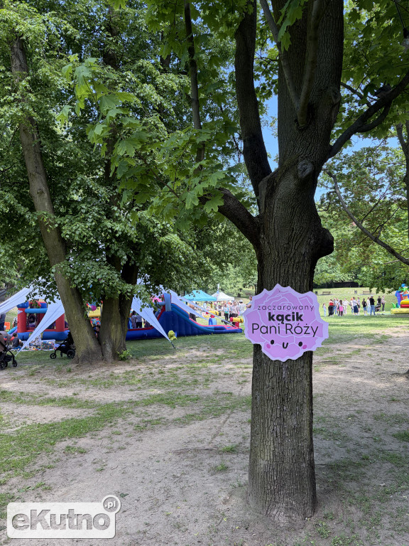 Piknik Różany 2026