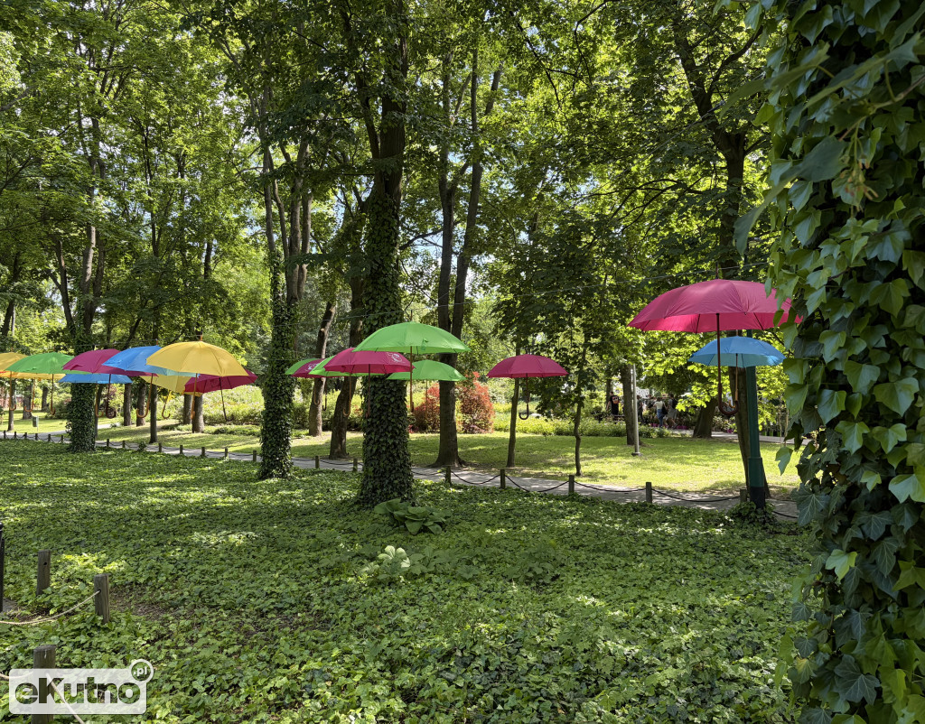 Piknik Różany 2026