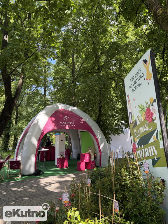 Piknik Różany 2026