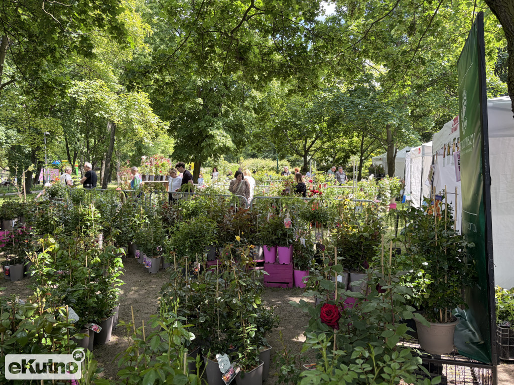 Piknik Różany 2026