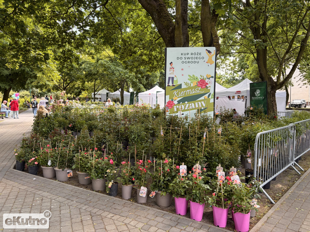 Piknik Różany 2026