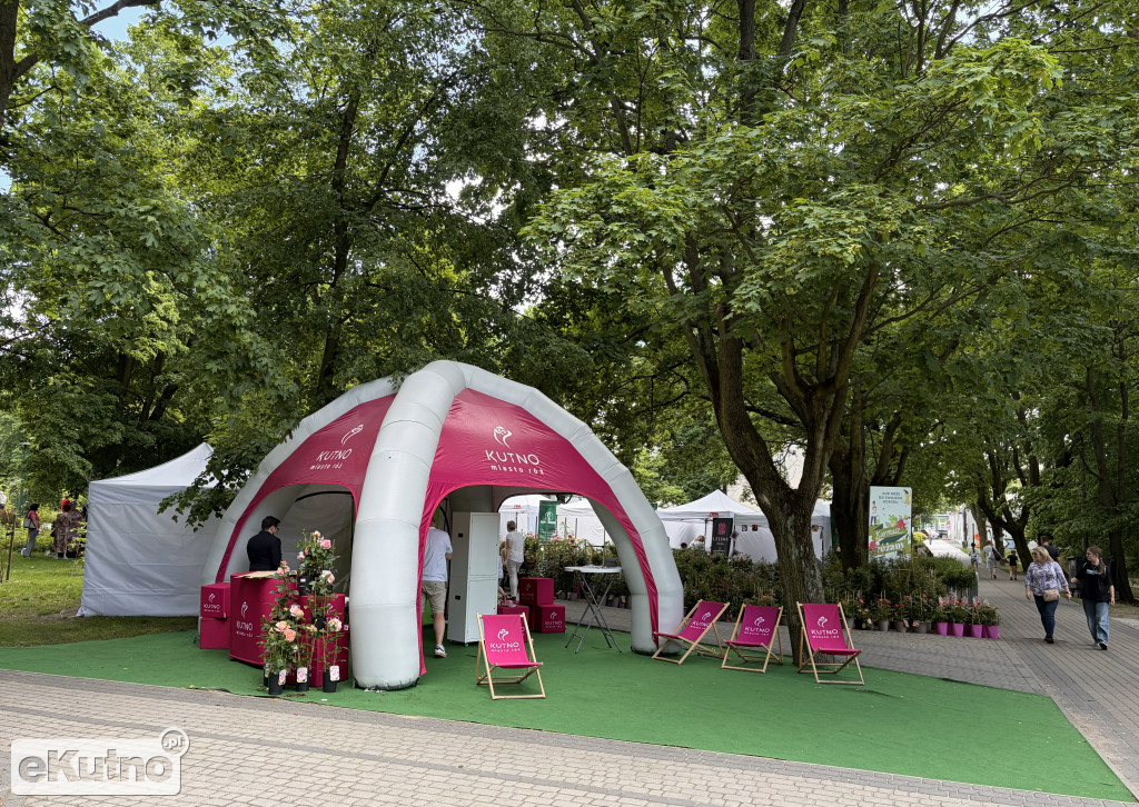 Piknik Różany 2026