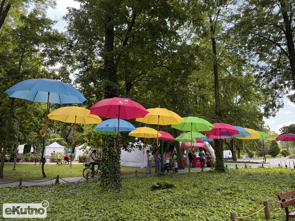 Piknik Różany 2026