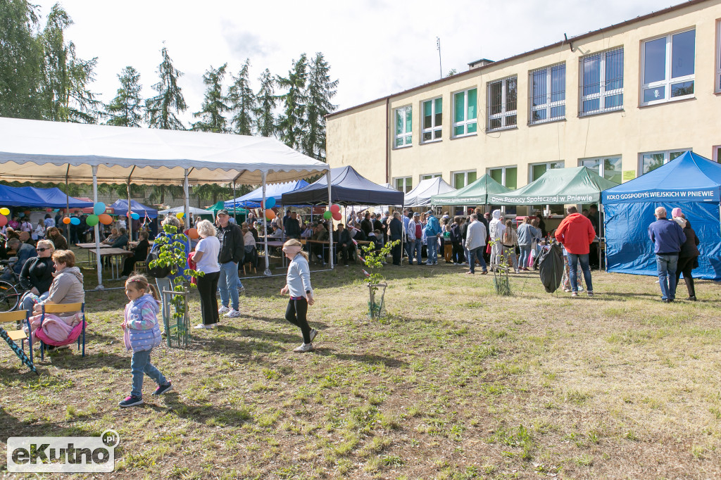 II Piknik Rodzinny w Pniewie