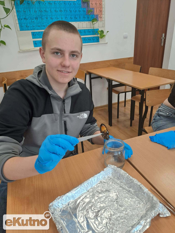 Katolickie Liceum, Technikum otwarte na uczniów