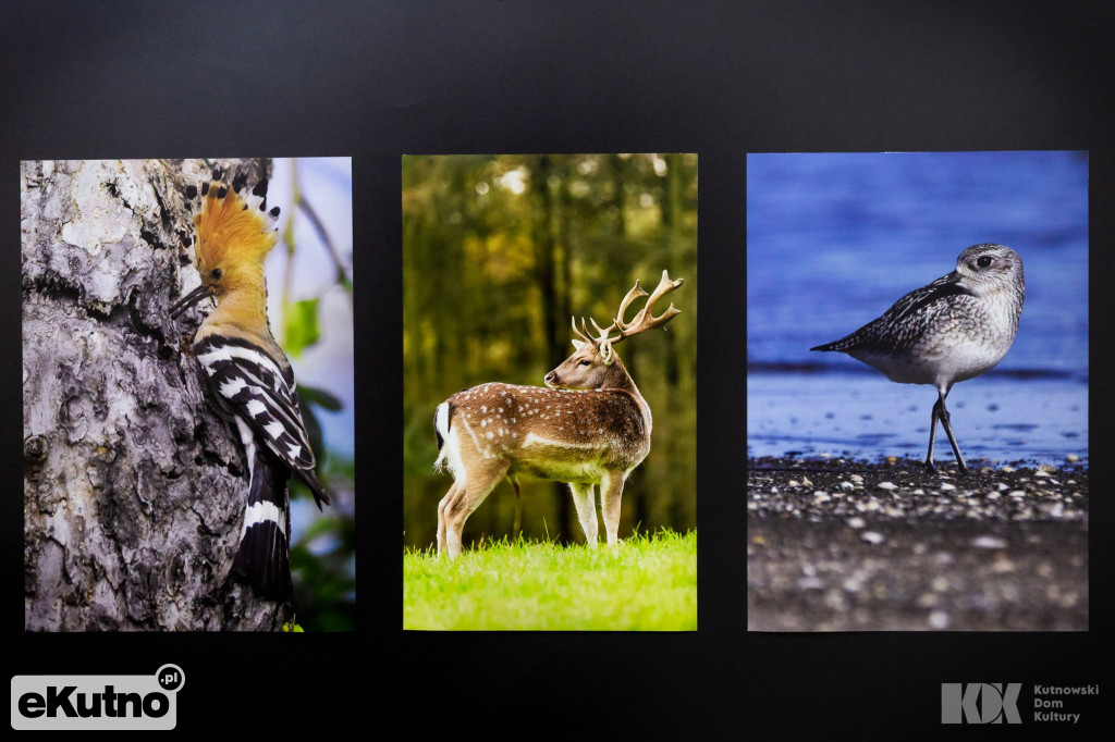 Natura - dwa spojrzenia. Wernisaż