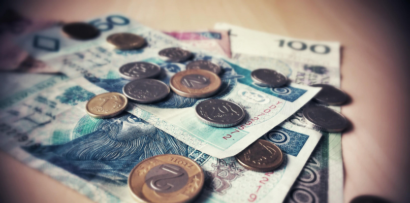 31 osób z zarzutami. Grupa przestępcza rozbita w Pini Polonia