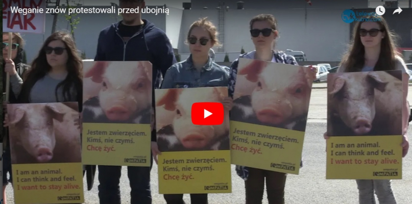 Weganie kolejny raz pod ubojnią Pini Polonia 